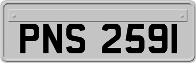 PNS2591