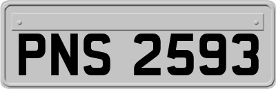 PNS2593