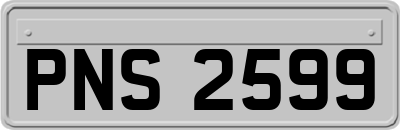 PNS2599