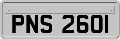 PNS2601