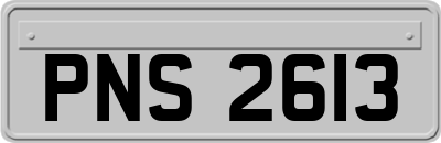 PNS2613