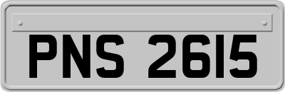 PNS2615