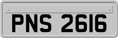 PNS2616