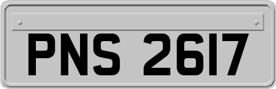 PNS2617