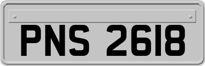 PNS2618