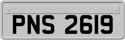 PNS2619