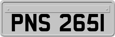 PNS2651