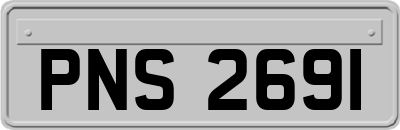 PNS2691