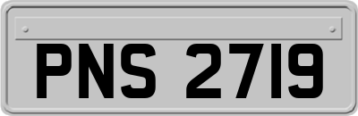 PNS2719
