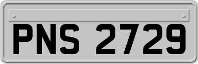 PNS2729