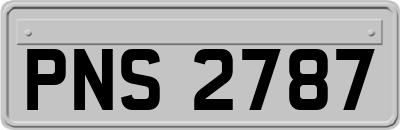 PNS2787