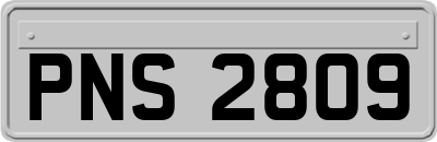 PNS2809