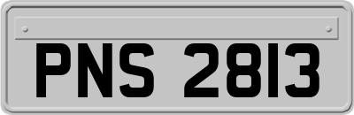 PNS2813