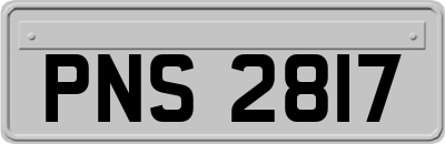PNS2817