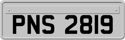 PNS2819