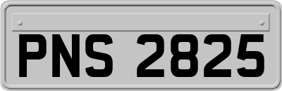 PNS2825