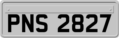 PNS2827
