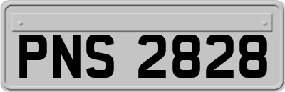 PNS2828