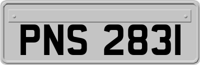 PNS2831