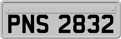 PNS2832