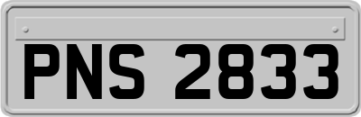PNS2833
