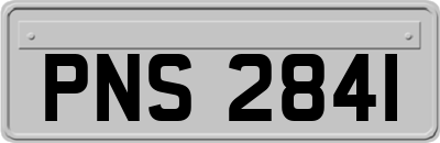 PNS2841