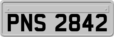 PNS2842