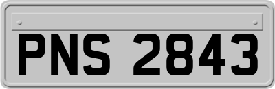 PNS2843