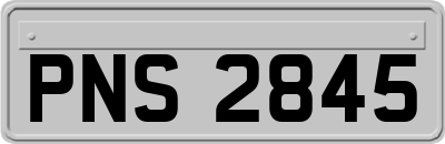 PNS2845
