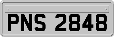 PNS2848