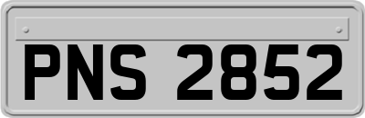 PNS2852