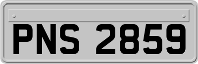 PNS2859