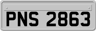 PNS2863
