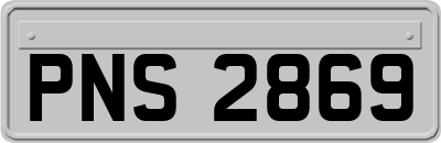 PNS2869