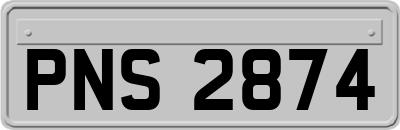PNS2874