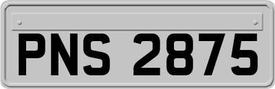 PNS2875