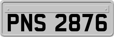 PNS2876