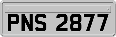 PNS2877