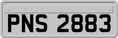 PNS2883