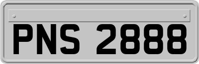 PNS2888
