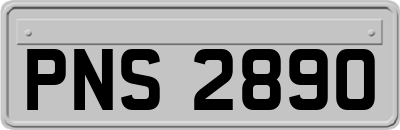 PNS2890