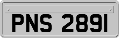 PNS2891