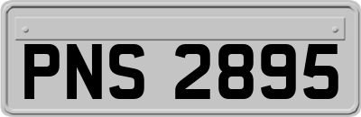 PNS2895