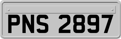 PNS2897