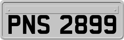 PNS2899