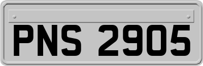 PNS2905