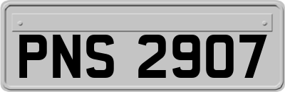 PNS2907