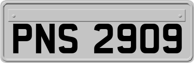 PNS2909