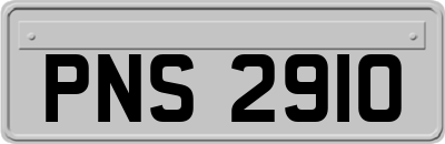 PNS2910