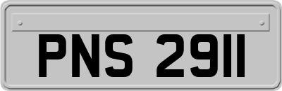 PNS2911